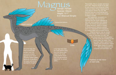 Magnus Redesign Reference