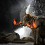 Fire and the wolf