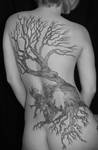 tree by rob1095