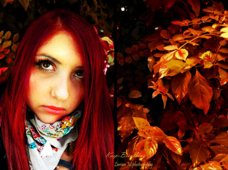 I Dreamed a Ruby Autumn