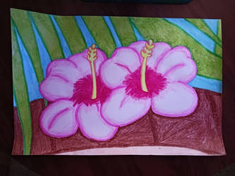 White Hibiscus Flowers