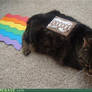 Nyan Cat