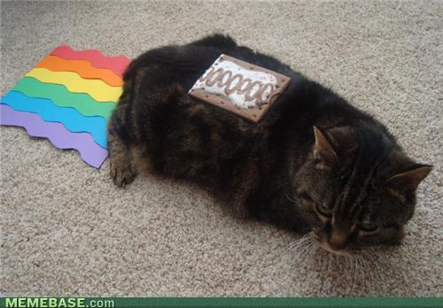 Nyan Cat