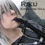 Riku Cosplay Collage