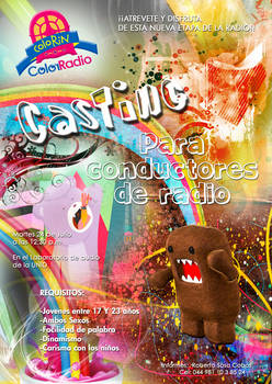 Cartel para Casting Colorin