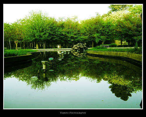 Water and Green