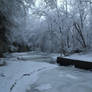 Curtis Creek Gorge after First Snow 2013