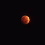 Blood Moon [Oct. 8, 2014]