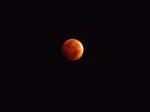 Blood Moon [Oct. 8, 2014] by Myrddin88