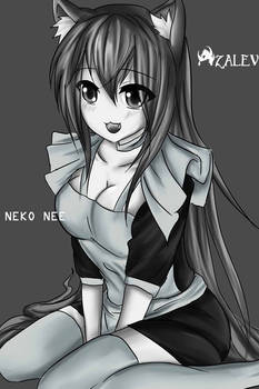 Neko Nee Aqw Fan Art