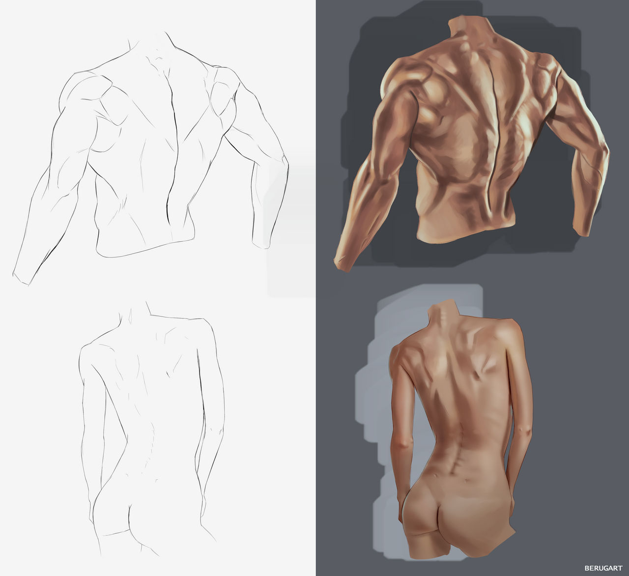 Torso Back View Torso Back by BerugArt on DeviantArt