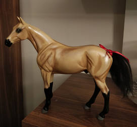 Breyer Custom