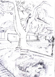 Tree in Ilhabela