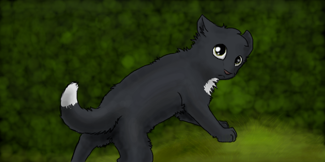 Ravenpaw