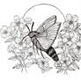 Hummingbird Hawk-Moth (Ink Piece)