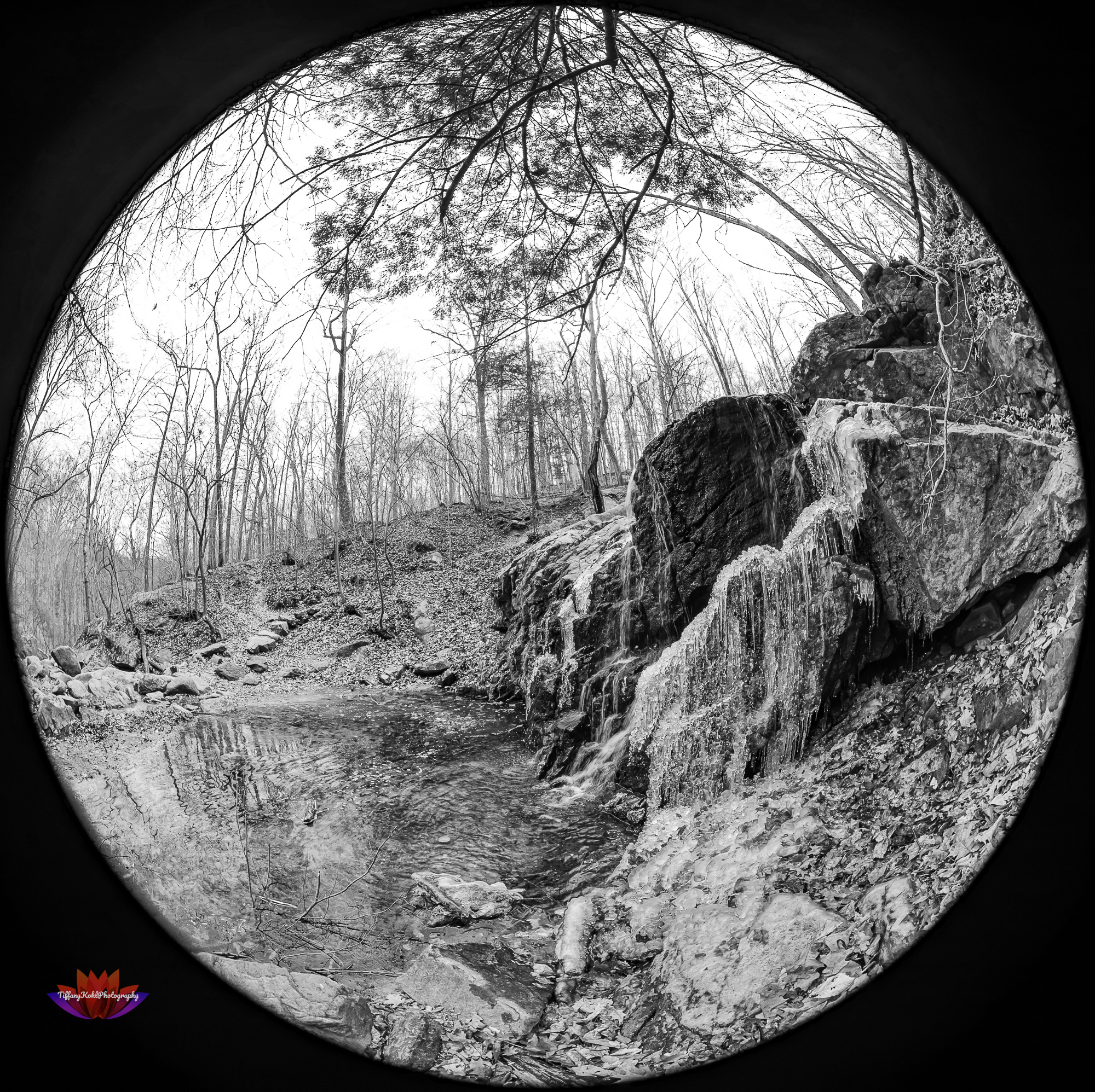 A Reliquary of Ice and Stone