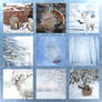 the girl snow deer is Moodboard