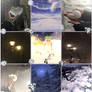 white flower winter is Moodboard