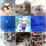 the winter angel bear is Moodboard