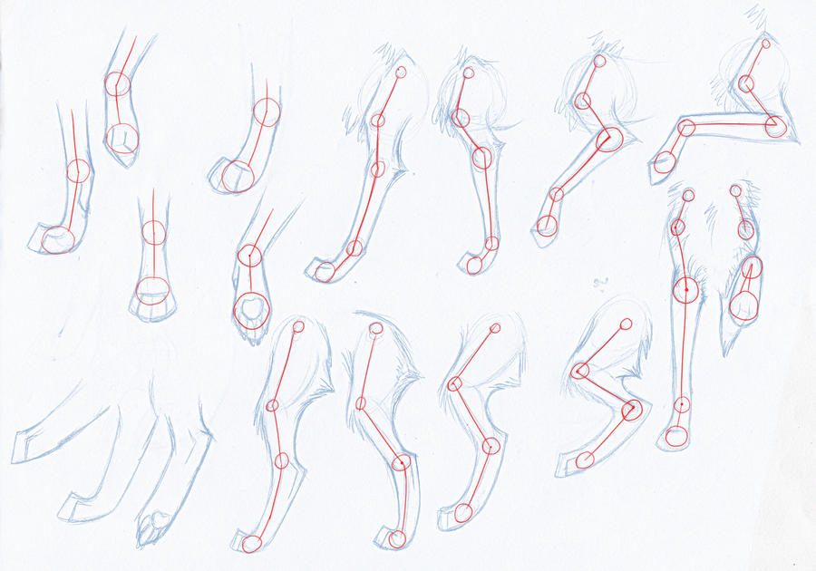 How To Draw Wolves: Arms.legs By Kimai On Deviantart