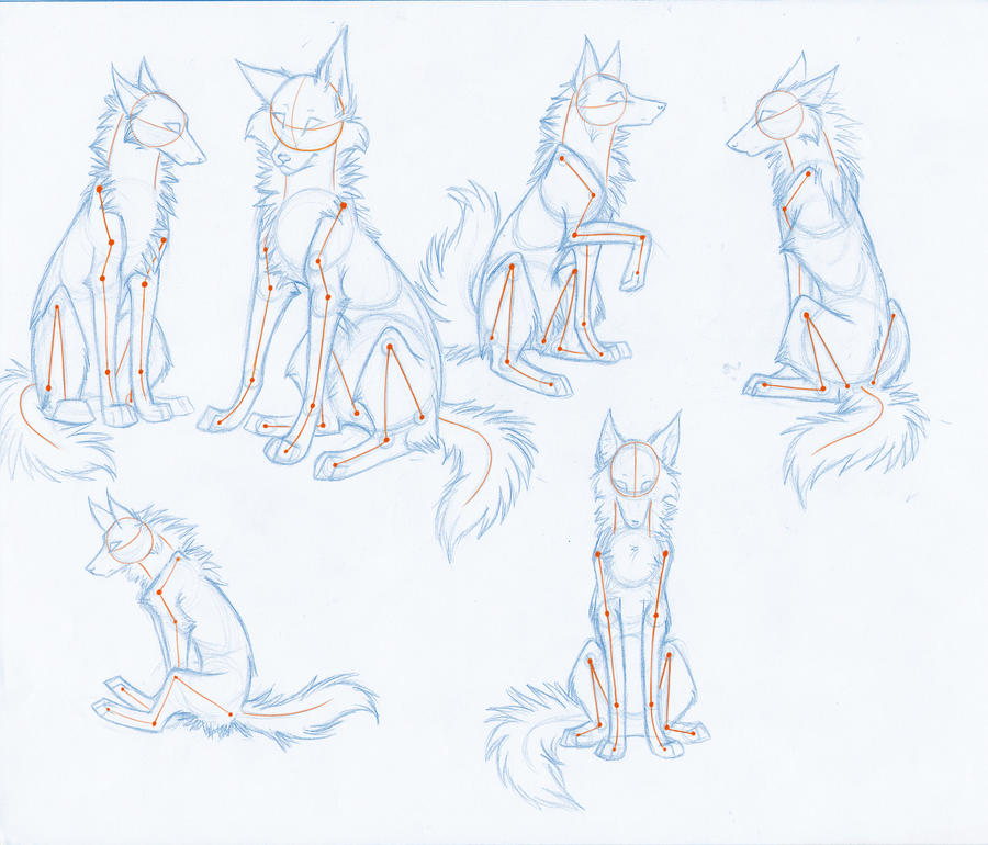 HowToDrawWolves: SittingPoses