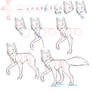 How to draw -  Canines