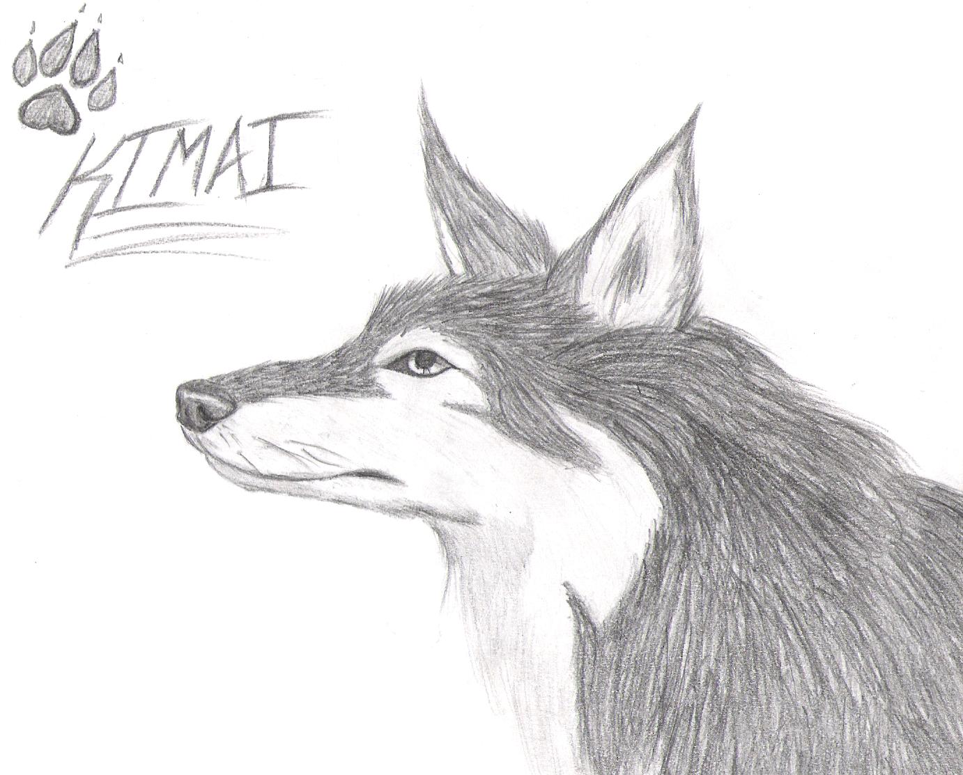 Kimai's Old Wolf Form