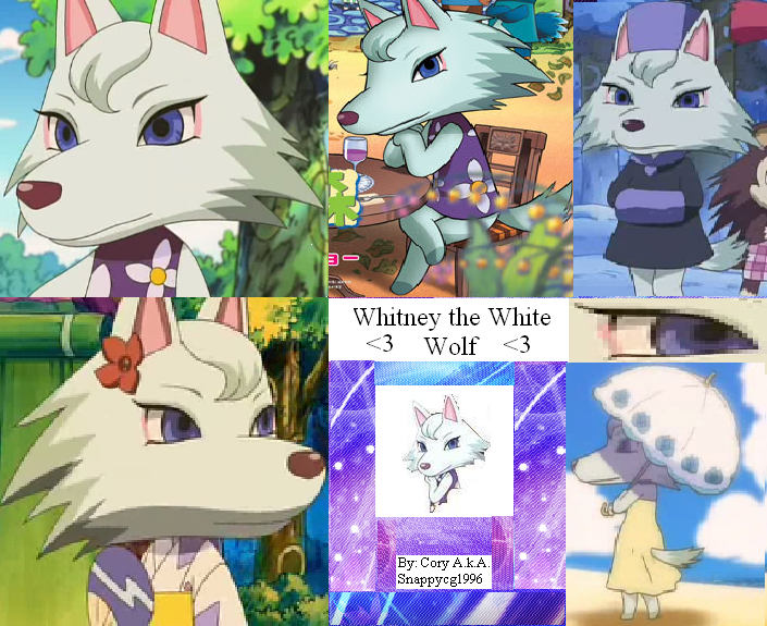 Whitney the White Wolf by snappycg1996 on DeviantArt Whitney the White Wolf by snappycg1996 on DeviantArt