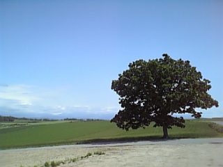 at Hokkaido in Japan