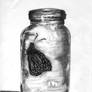 Butterfly jar