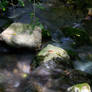 movement at leaser lake