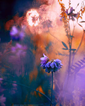 whimsical