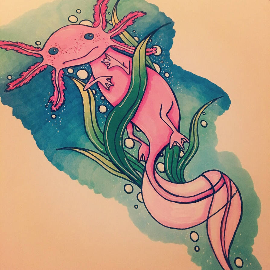 Axolotl tattoo design by OnigiriPrints on DeviantArt