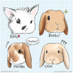 The Bunny bunch - Eddy Rambo Marbles Olive