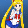 Sailormoon Usagi, goofy :3