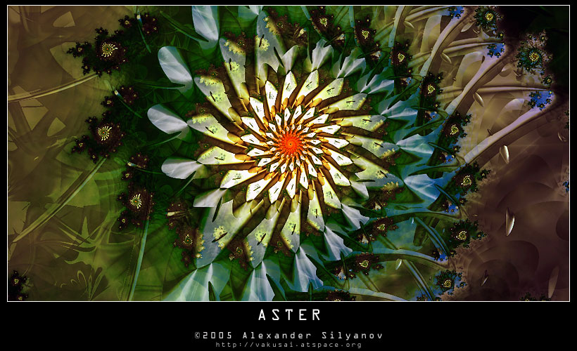 Aster