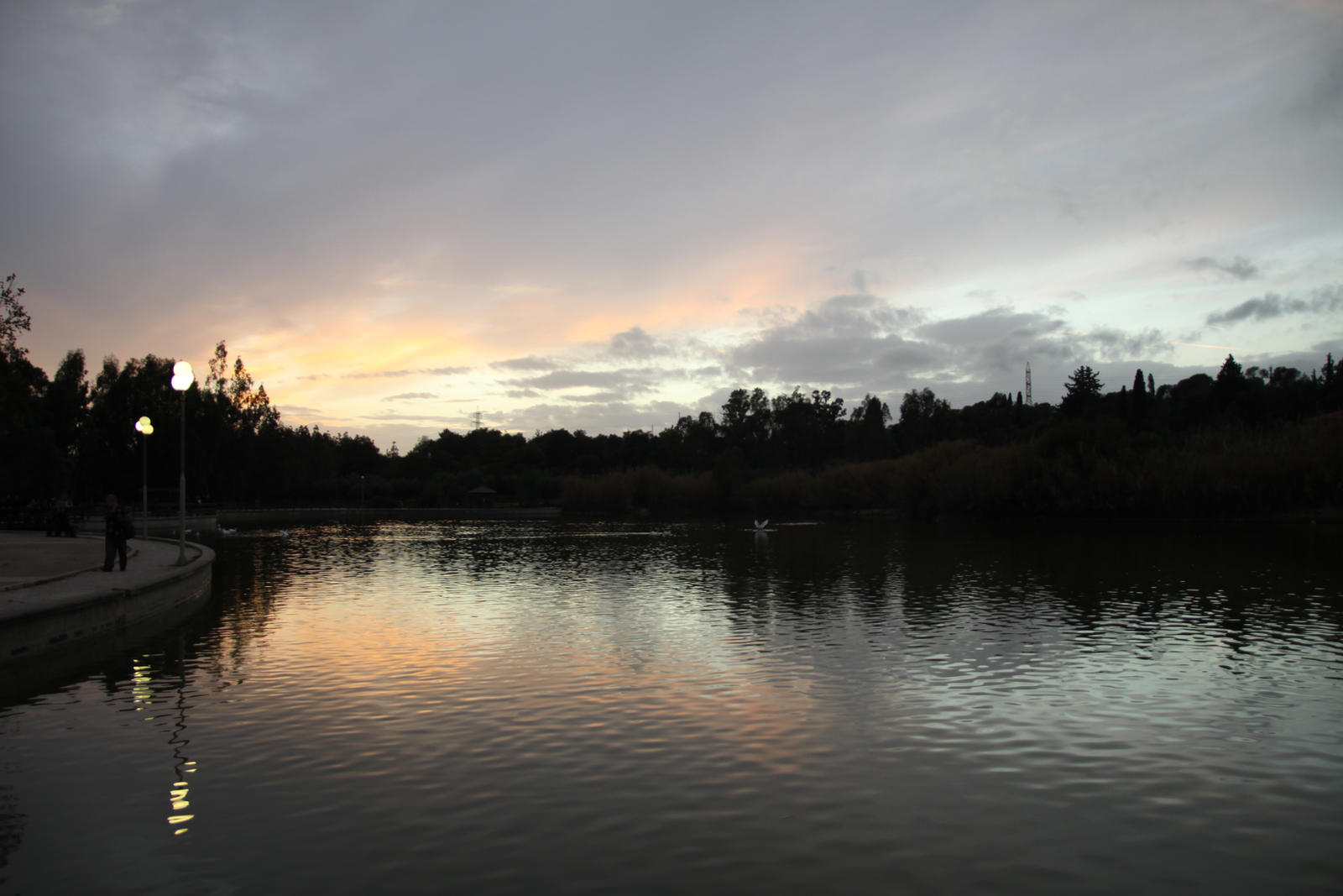 park sunset