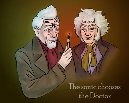 The Sonic Chooses the Doctor