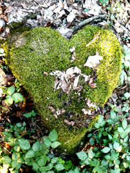 Treeheart