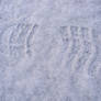 Footprints in the...snow?