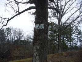 NO TRESPASSING