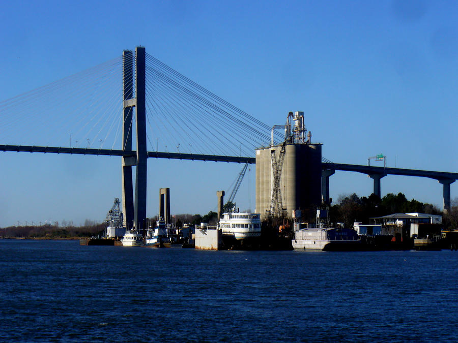 Savannah Bridge