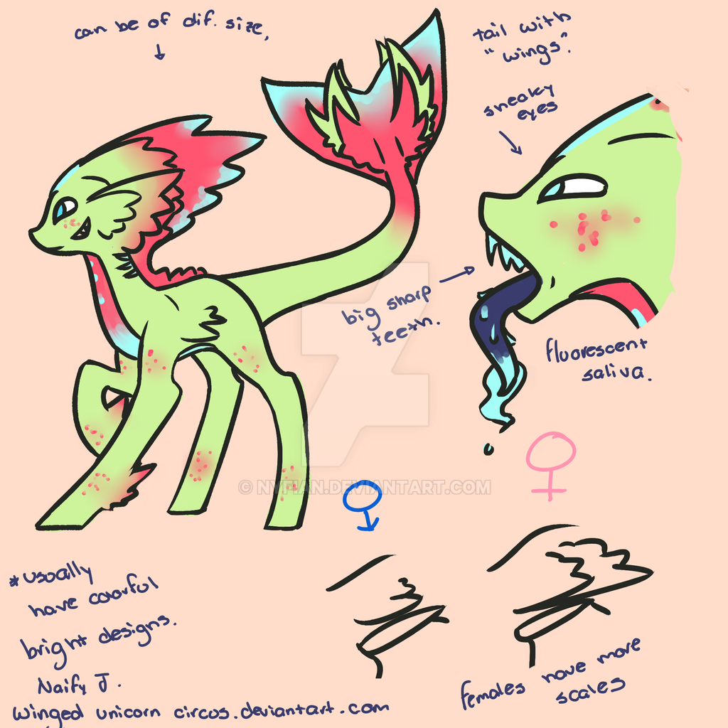 Coral Shark Pony Ref Sheet (CLOSED SPECIES)