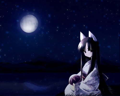 Neko-chan in the night