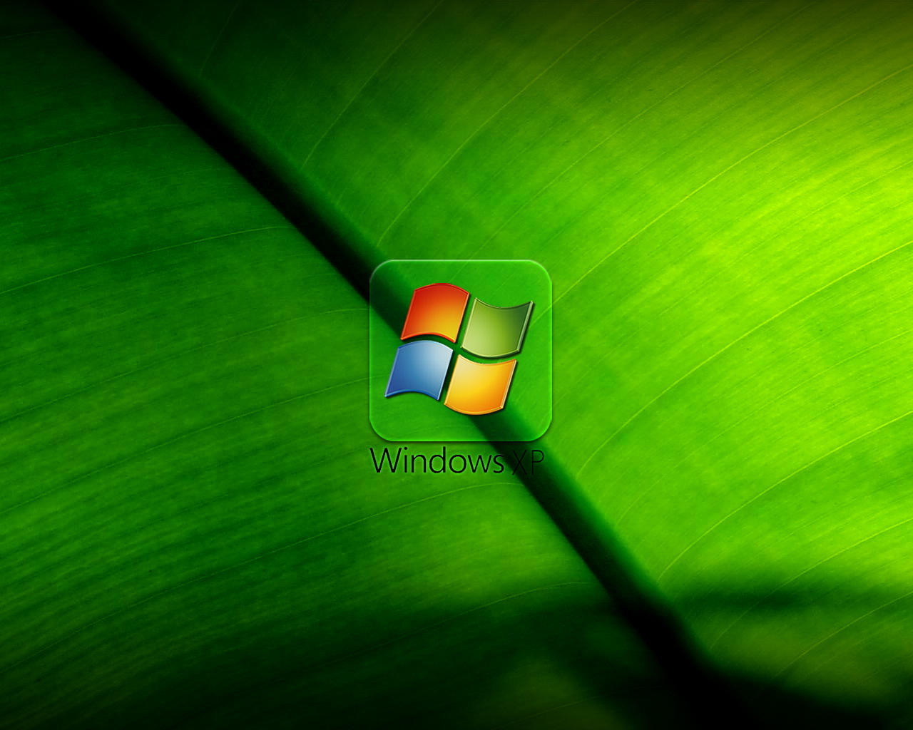Bạn thích màu xanh lá cây và muốn tìm một hình nền XP mang màu này để làm nền cho máy tính của mình? Trang web của chúng tôi cung cấp rất nhiều hình nền XP màu xanh lá cây đẹp mắt để bạn lựa chọn.