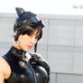 Catwoman - Ame Comi Version