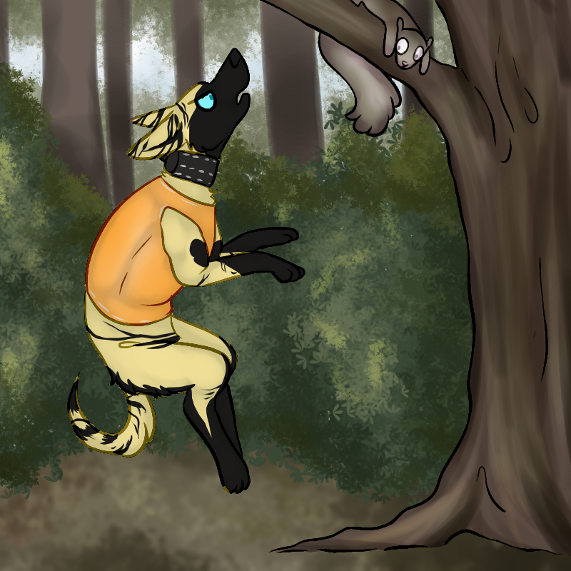 Deviantart Risumon Squirrel Squirrel by olivionary on DeviantArt