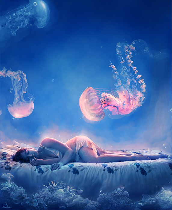 Midnight dream