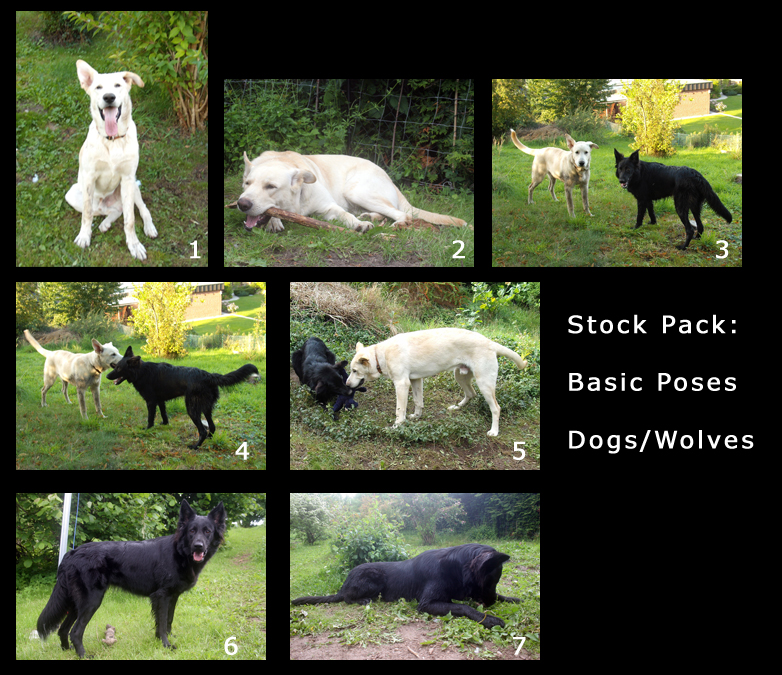 Pack: dog or wolf basic poses