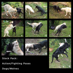 Pack: dog or wolf action poses